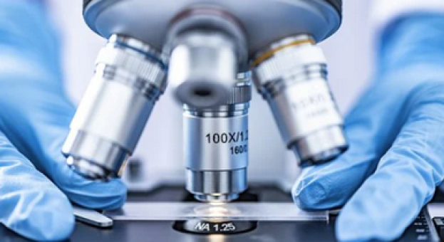 Zobaczyć, zrozumieć, wyjaśnić – mikroskop jako narzędzie badawcze w nowoczesnej edukacji przyrodniczej w MSCDN